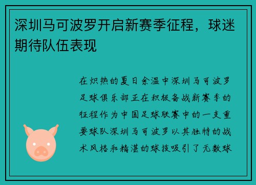 深圳马可波罗开启新赛季征程，球迷期待队伍表现